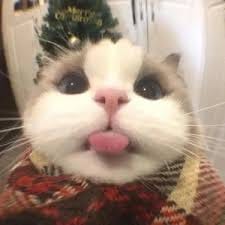 Lê Văn Đức